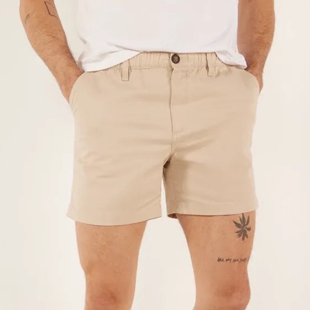 Men's Chubbies Khaki Shorts